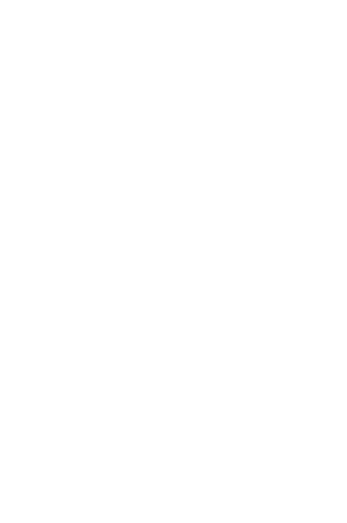 Festivalism Logo